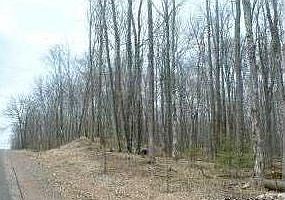2nd image of 0 Log Lodge Road