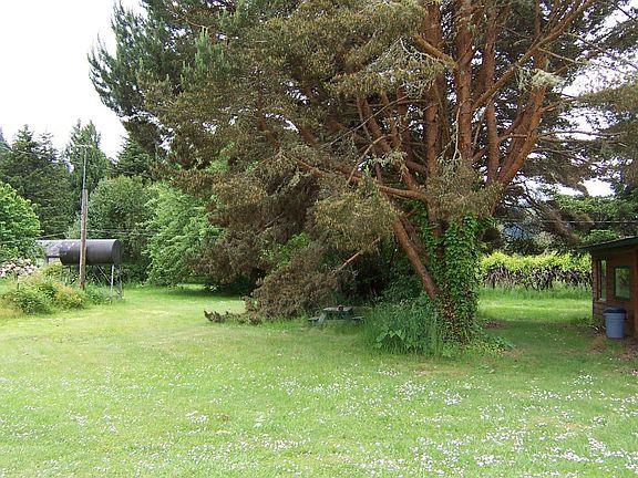 Mature vegetation and trees