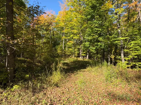 LOT 1 Isabelle Dr, Marenisco, MI 49947