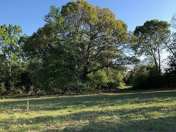 Wooded Area