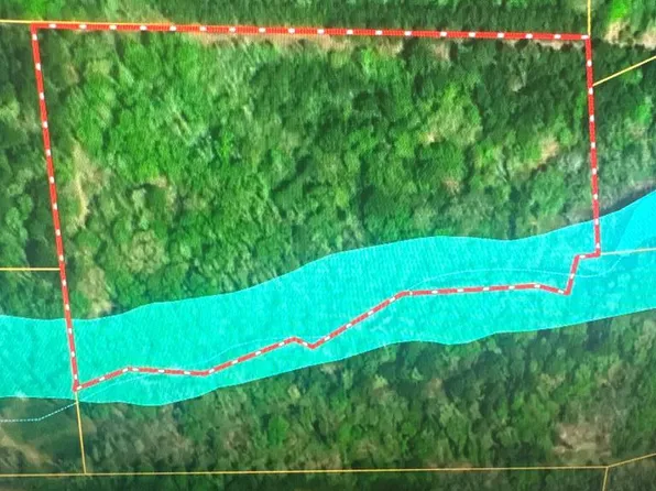 0 Private Road 5772, Grapeland, TX 75844