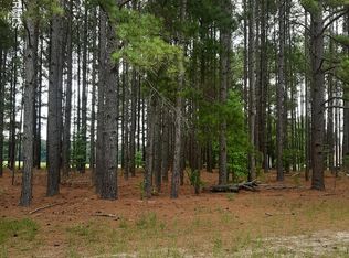 LOT 1 State Highway 581, Bailey, NC 27807