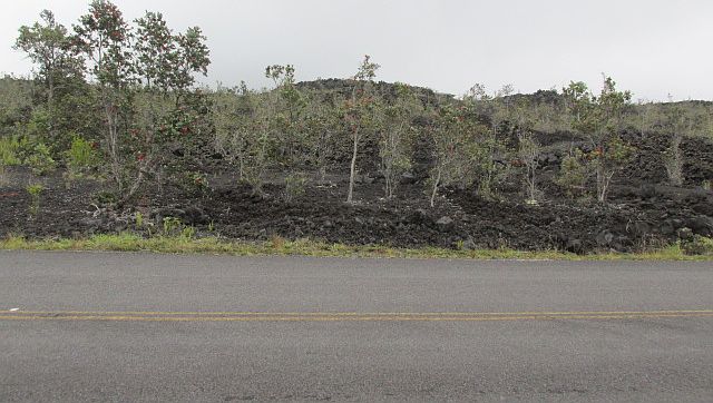 1st image of King Kamehameha Blvd Lot 23