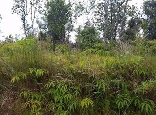 11 2748th #61, Volcano, HI 96785