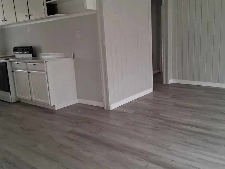 311 Bartow Rd S — Photo 7
