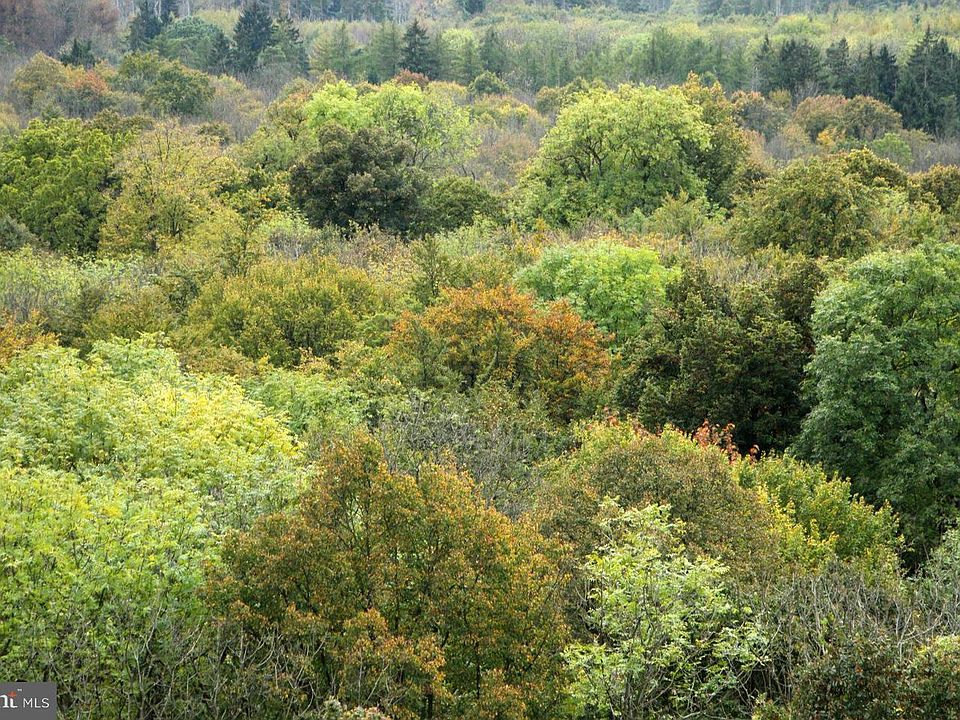 1st image of Brown Rd