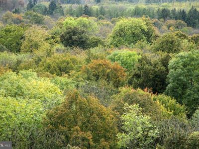 Brown Rd, Smithsburg, MD, 21783