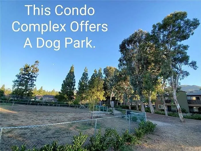 2548 Avenida Del Vis #201 — Photo 6