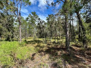 NW Amberjack Ave LOT 27, Dunnellon, FL 34431