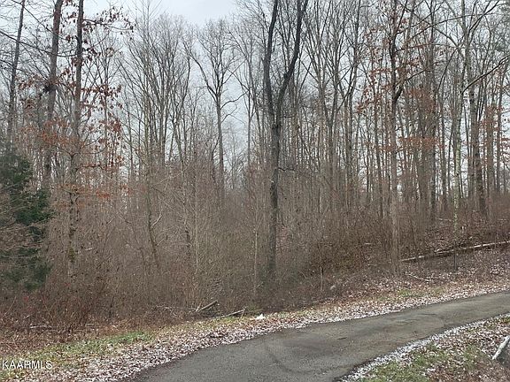 5th image of Whispering Pine Ln