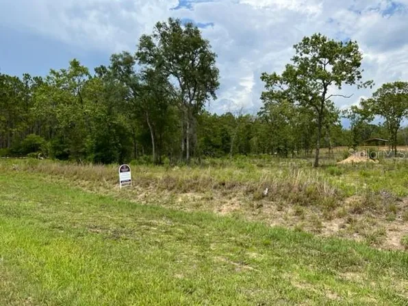 7691 NE 58th Ave, Anthony, FL 32617