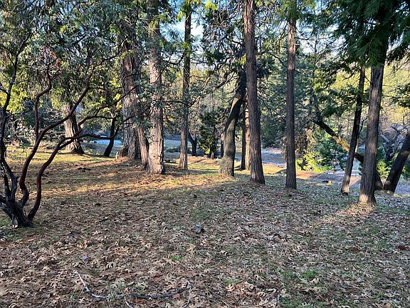 2nd image of 1238 Canyon Ridge Ct