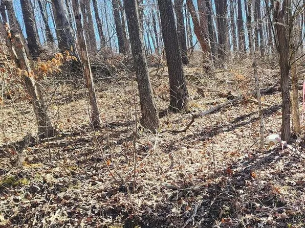 Pauper Farm Rd, Elizabethtown, IL 62931