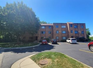 228 E Rimini Ct UNIT 1B, Palatine, IL 60067