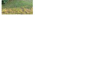 1116 E 1st St., Lumberton, SC 28358