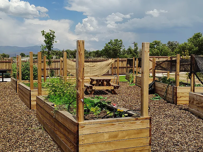 Garden boxes for all our residents