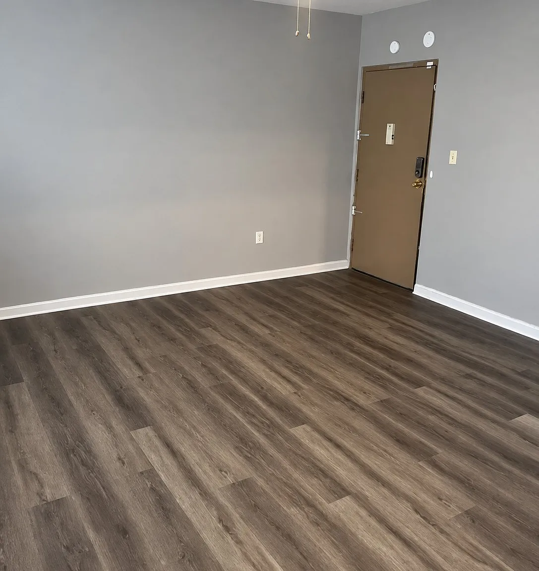 1 bed, $850 — Photo 3