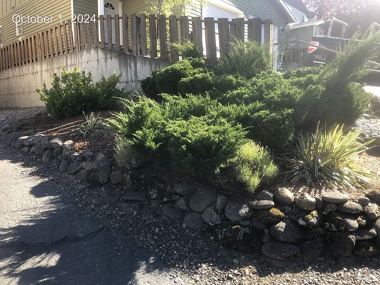 Front Yard, low maintenance!