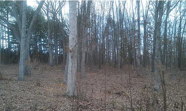 1st image of 0 Live Oak Trl NE