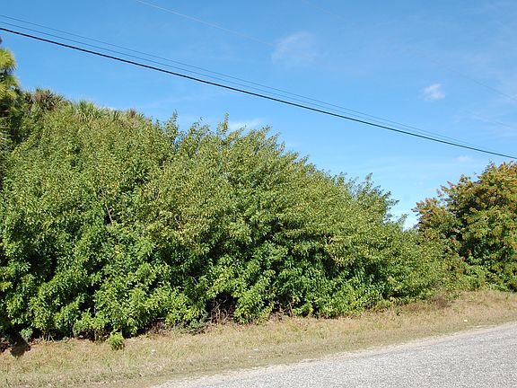3rd image of 78 Saragossa Ln