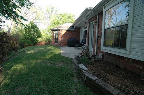 patio and back yard