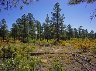 5 Road N, Mancos, CO 81328