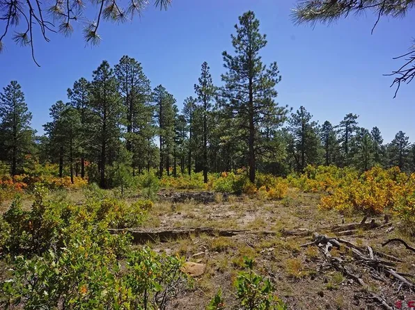 5 Road T.7, Mancos, CO 81328