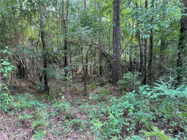 Cabbage Farm Rd, Kentwood, LA 70444