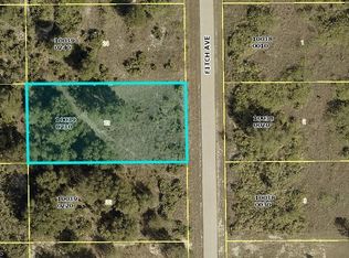 1119 Fitch Ave, Lehigh Acres, FL 33972