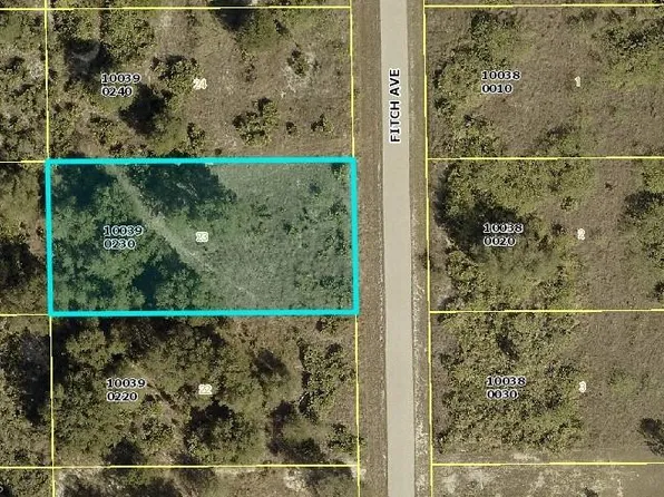 1119 Fitch AVE, LEHIGH ACRES, FL 33972