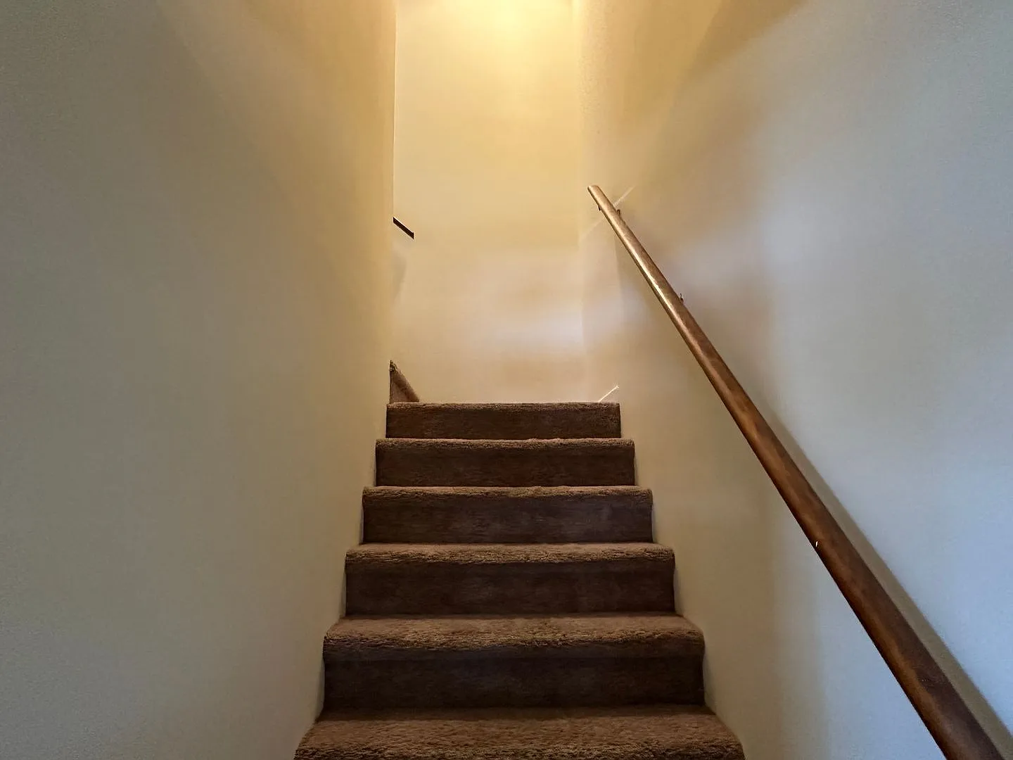 134 Lauren Circle — Photo 4