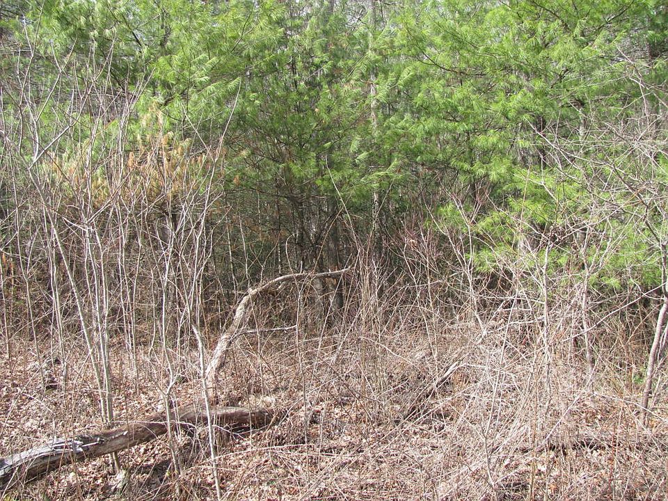 1st image of 139 Forest View Dr