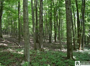 0 Cleland Rd, Cherry Creek, NY 14723