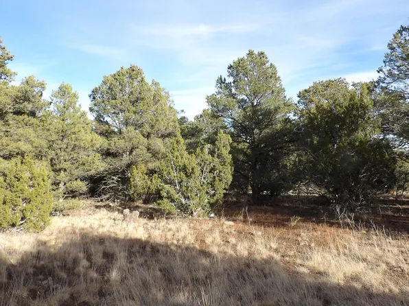 833 County Road 3144, Vernon, AZ 85940
