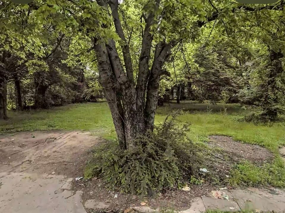 1st image of 3014 Reed Ln