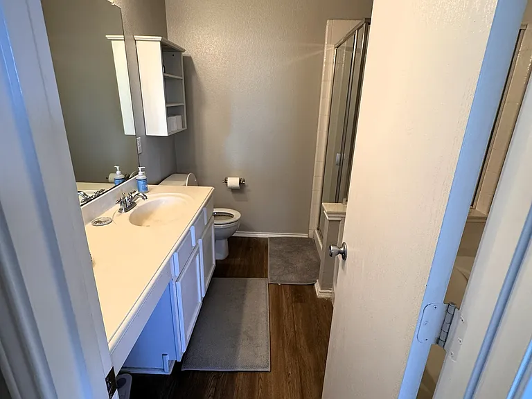 Master bathroom