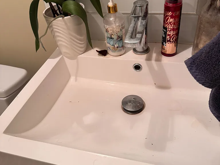 2307 Wuthering Heights Way — Photo 40