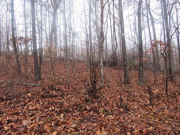 5th image of Dale Dr