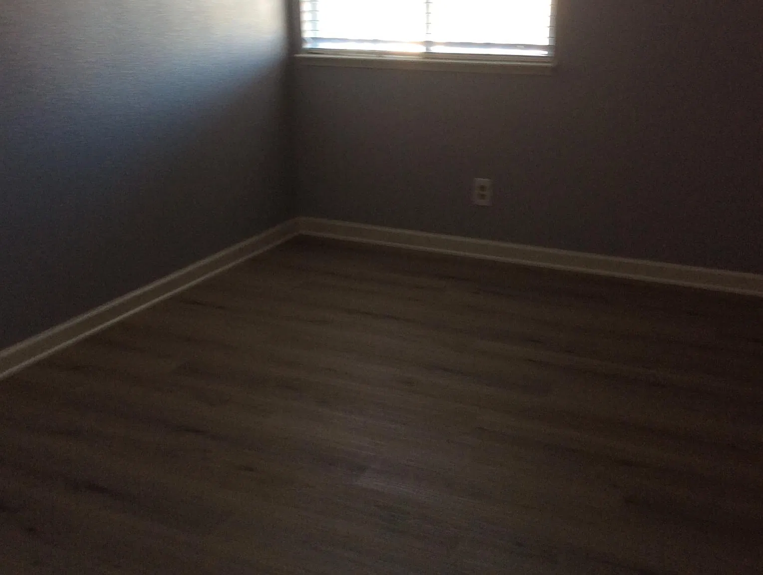 3 bed, 2.5 bath, 1723 sqft, $4,000 — Photo 4