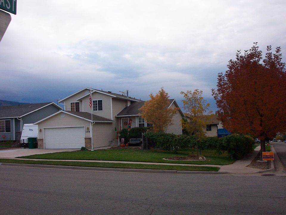 Home, Yard, & Trees