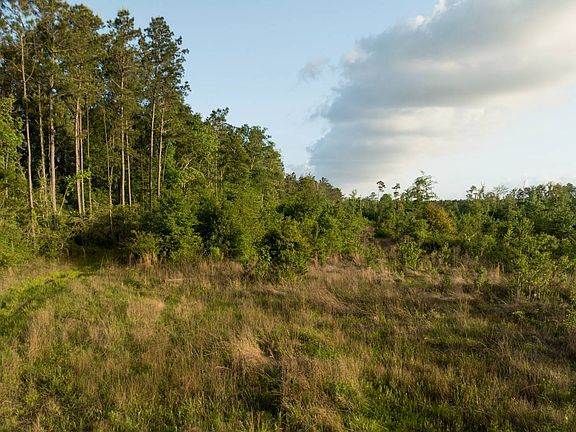 4th image of Tbd Dickerson Rd
