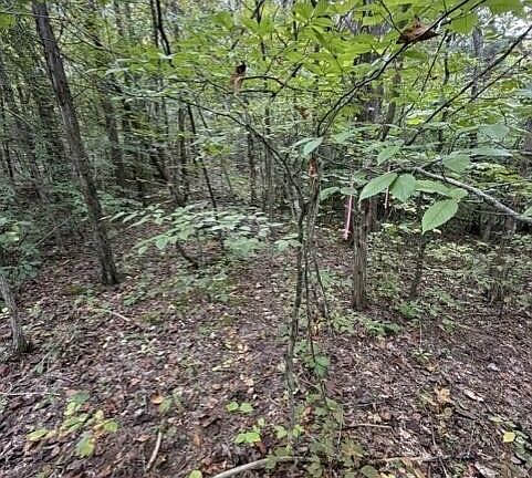 4th image of 0 Gadson Ln