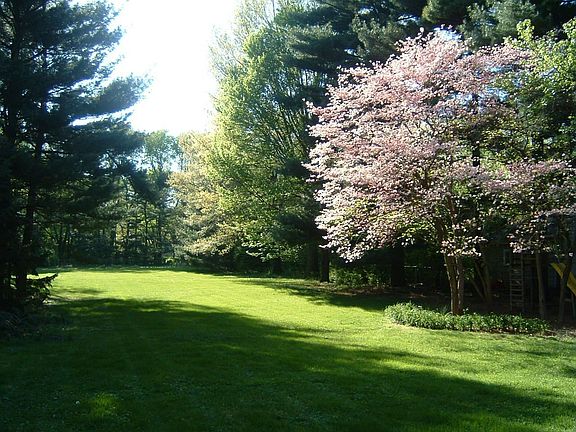 Back yard from house