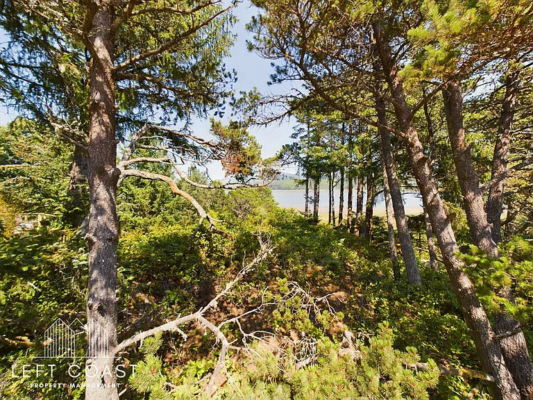 26 Dune Point Dr — Photo 21