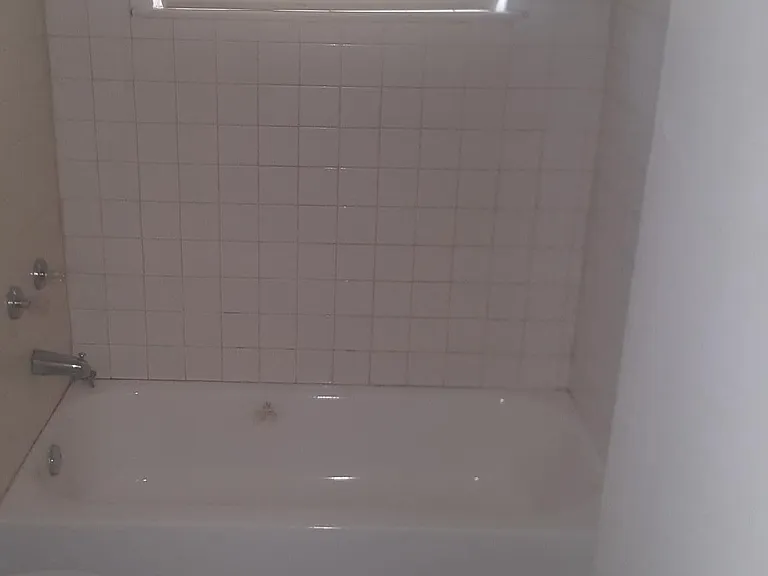hall bathroom