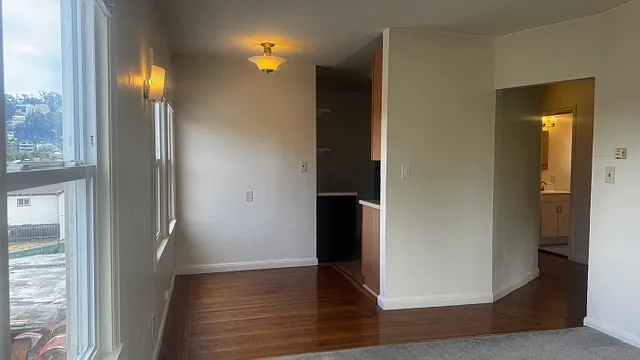 325 Visitacion Ave #1 — Photo 13