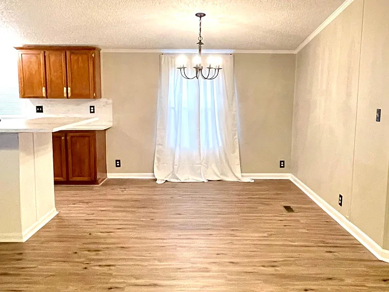 8619 Tall Pines Rd — Photo 5