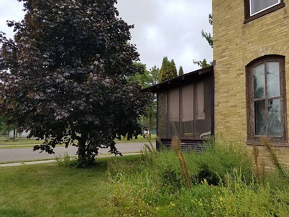 Sugar maple front yard