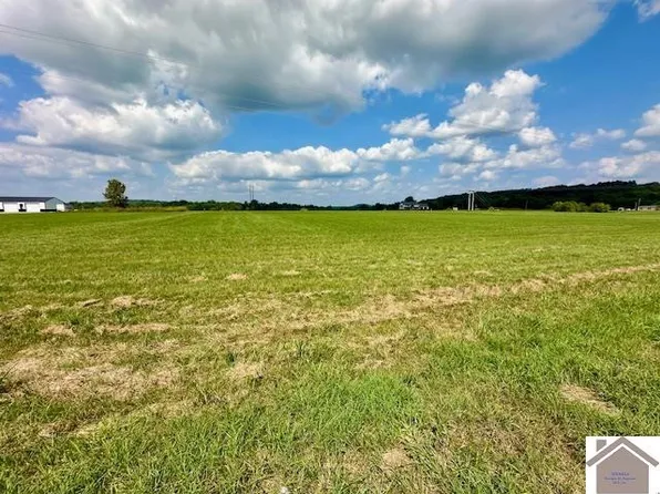 6 Tiline Rd, Smithland, KY 42081