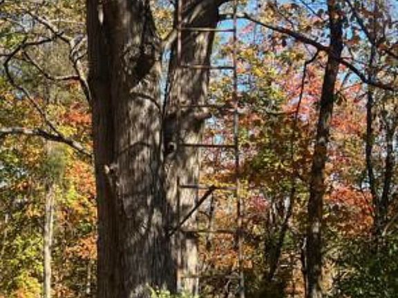 5th image of 4 Cemetery Hill Rd